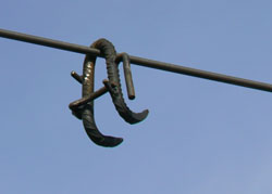 JPEG - 19.4 ko